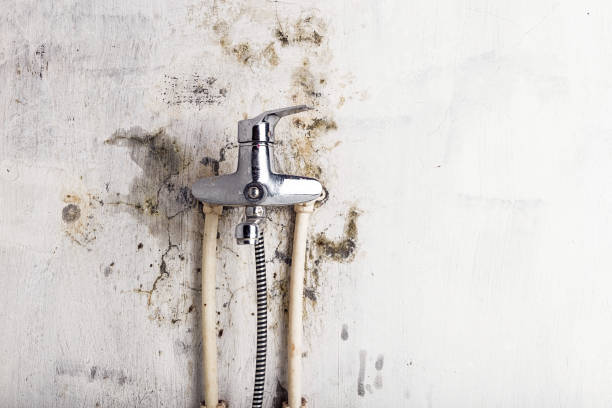 Best Emergency Mold Removal  in Warwick, RI