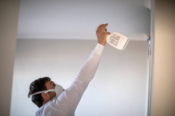 Best Mold Cleaning Services  in Warwick, RI