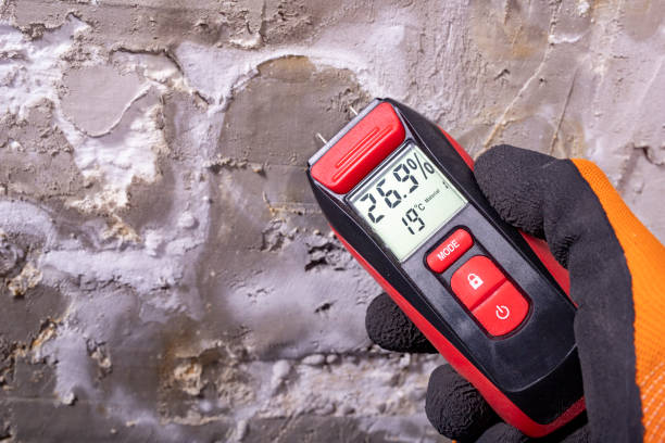 Best Mold Remediation  in Warwick, RI