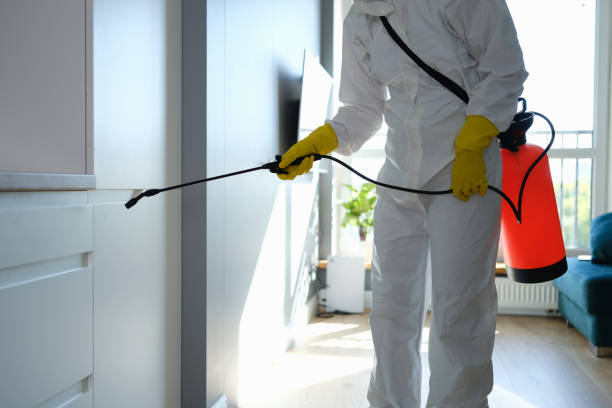 Best Mold Inspection  in Warwick, RI