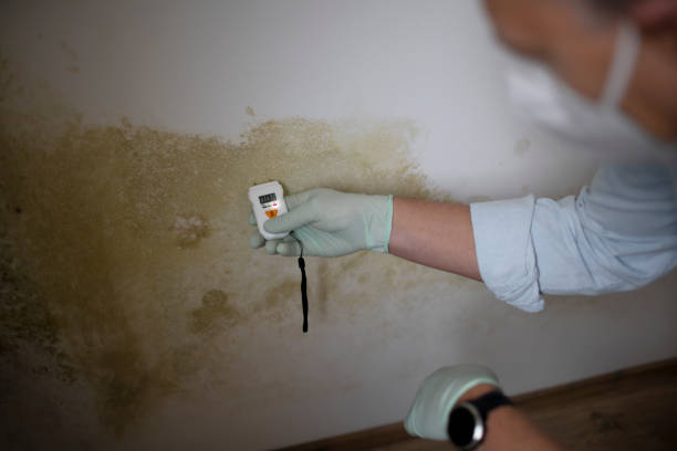 Best Mold Testing  in Warwick, RI