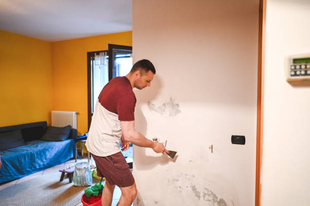Best Mold Removal Near Me  in Warwick, RI