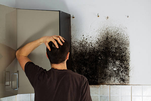 Best Water Damage Restoration  in Warwick, RI
